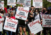 Charlee Disney comes out as transgender, condemns Florida ‘don’t say gay’ bill – The Washington Post