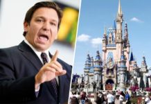 Disney heir comes out publicly as transgender, condemns anti-LGBTQ bills – NBC News