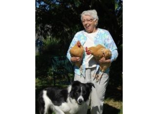 Elinor Gay Obituary (2022) – Westport, MA – East Bay RI – Legacy.com