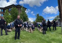 Experts say domestic terrorists could amplify anti-LGBT sentiment – WUSA9.com