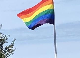 Gay and proud | CAI – WCAI