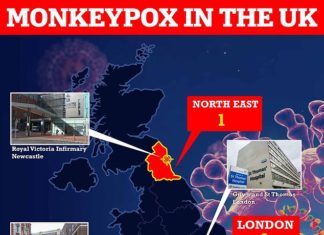 Health chiefs probe gay bars and saunas amid monkeypox outbreak in UK – Daily Mail