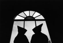 How George Freeman’s Monastery Dance Club Endures 45 Years Later – Seattle Met