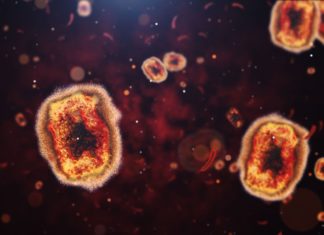 How the rhetoric around monkeypox recalls biases in early HIV news coverage – Salon