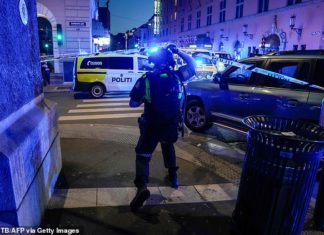 ‘Iranian-Norwegian’ terrorist kills two in attack on gay bar: Moment suspect is arrested – Daily Mail
