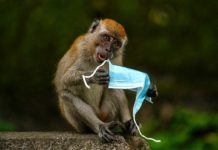 Mask-up for MonkeyPox – The Spectator Australia