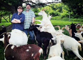 Meet the Gay Goat Guys, a Modern Couple Committed to Putting Animals First – Modern Farmer