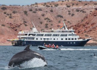 Meet the Most Popular Travel Company You Probably Didn’t Know Existed – Thrillist