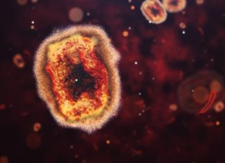 Monkeypox may present with unusual symptoms, CDC warns – Livescience.com