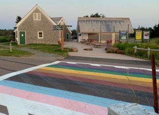 My queer identity is not for your entertainment – CBC.ca