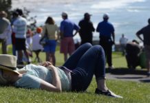 My Sports Column Puts People to Sleep – The Wall Street Journal
