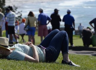 My Sports Column Puts People to Sleep – The Wall Street Journal