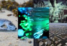 Norway police seek delay to Pride events after gay bar shooting – Devdiscourse