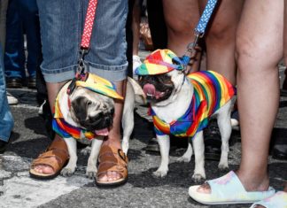 Opinion | How the gay rights movement found such stunning success – The Washington Post