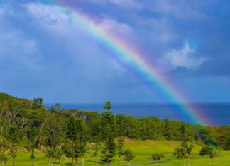 Pride and a BirdLife LGBTQ+ perspective – BirdLife International