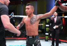 Pride Month: Why are there no openly gay male MMA fighters? – BBC