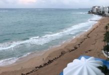 Puerto Rico Travel: A Caribbean LGBTQ Haven – TravelPulse