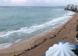 Puerto Rico Travel: A Caribbean LGBTQ Haven – TravelPulse