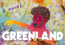 Review: A Black gay novelist explodes the margins, with help from E.M. Forster, in ‘Greenland’ – Los Angeles Times