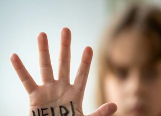 School Responder President and Founder Barbara A. Grimm Announces a Strategic Partnership with Safe and Sound Schools – PR Newswire