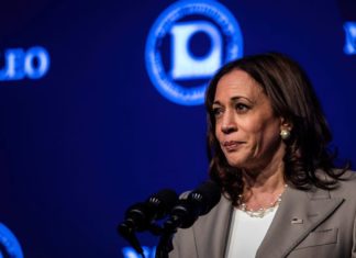 ‘This is not over’: VP Harris warns Supreme Court could target gay marriage, contraception next – USA TODAY