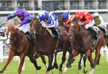 Today on Sky Sports Racing: Mitrosonfire seeks Windsor Sprint Series success as Quid Pro Quo heads to Southwell – Sky Sports