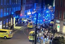 Two dead, several seriously hurt in gun attack on gay bar in Oslo where ‘up to 20 shots’ fired – Daily Mail