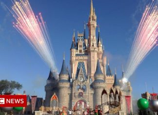 Disney apologises for ‘silence’ on ‘Don’t Say Gay’ bill – BBC