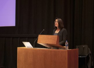 Erika Lee to Join Harvard as Second Professor in Ethnic Studies Cluster Hire | News – Harvard Crimson