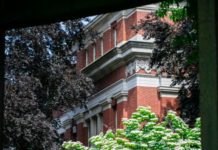 FAS dean Gay launches strategic planning process – Harvard Gazette