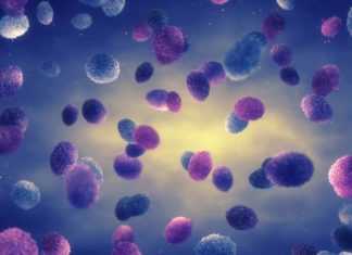First case of monkeypox confirmed in Auckland, Health Ministry says – RNZ