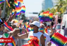 Florida lawmakers pass ‘Don’t Say Gay’ bill – BBC