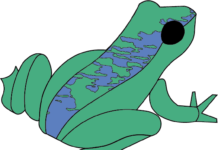 Frog Fest outdoor science event to feature exhibits, wildlife experts – Sault Ste. Marie Evening News