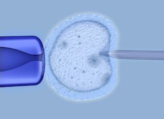 Gay couple sues fertility clinic because their child is a girl when they wanted boys – LGBTQ Nation