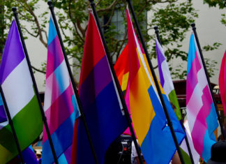 Georgians deserve better than state laws targeting trans athletes – Georgia Recorder