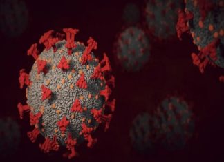Health News Roundup: Gay men, some trans people and sex workers should be vaccinated against monkeypox, French health body says; China’s Shanghai says new Omicron subvariant found and more – Devdiscourse