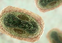 Limited supply of monkeypox vaccine offered to San Diego’s gay and bisexual communities – The San Diego Union-Tribune