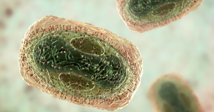 Limited supply of monkeypox vaccine offered to San Diego's gay and bisexual communities - The San Diego Union-Tribune