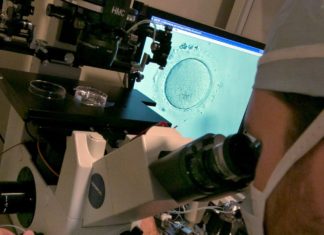 Male gay couple sue fertility clinic over alleged wrong sex embryo implant – Spectrum News 1