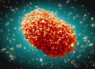 Monkeypox cases hitting gay, bisexual men most but all are at risk – Cape Cod Times