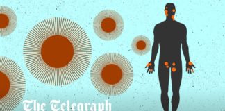 Monkeypox cases triple in Europe – The Telegraph