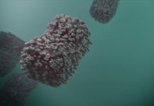 Monkeypox vaccines now available in Alberta – LacombeOnline.com