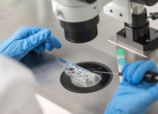 Pasadena IVF Clinic Responds to Male Gay Couple’s ‘Wrong Embryo’ Suit – Pasadena Now – Pasadena Now