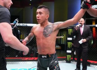 Pride Month: Why are there no openly gay male MMA fighters? – bbc.co.uk