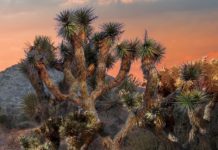 The Price You Pay: Of Crimes and Closets – lareviewofbooks