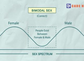 The Science of Biological Sex – Science Based Medicine