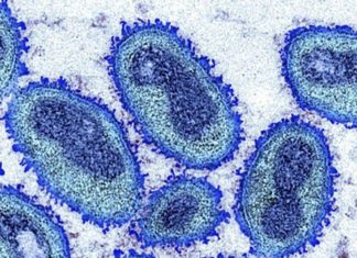 WHO chief: COVID-19 ‘nowhere near over’ as monkeypox spreads – Washington Blade