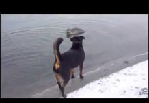 5 things to know for August 10: Primaries, Trump, Ukraine, Monkeypox, Cuba – CNN