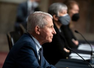 Anthony Fauci is stepping down: How did he become the bogeyman of covid-19 conspiracy theories? – Grid