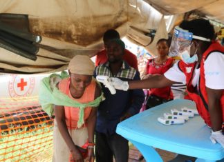 As Monkeypox Threat Grows, Africa Needs More Robust Health Surveillance – Health Policy Watch